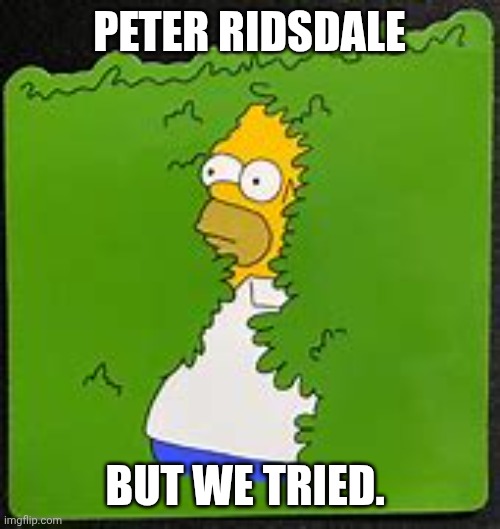 Hedge (Once) | PETER RIDSDALE; BUT WE TRIED. | image tagged in hedge once | made w/ Imgflip meme maker