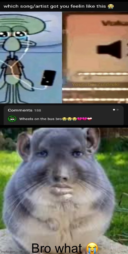 Ain’t no way | Bro what 😭 | image tagged in human chinchilla | made w/ Imgflip meme maker
