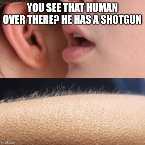 Whisper and Goosebumps | YOU SEE THAT HUMAN OVER THERE? HE HAS A SHOTGUN | image tagged in whisper and goosebumps | made w/ Imgflip meme maker