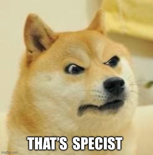 THAT’S  SPECIST | image tagged in angry doge | made w/ Imgflip meme maker
