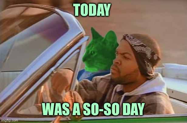 Driving RayCat | TODAY; WAS A SO-SO DAY | image tagged in driving raycat | made w/ Imgflip meme maker