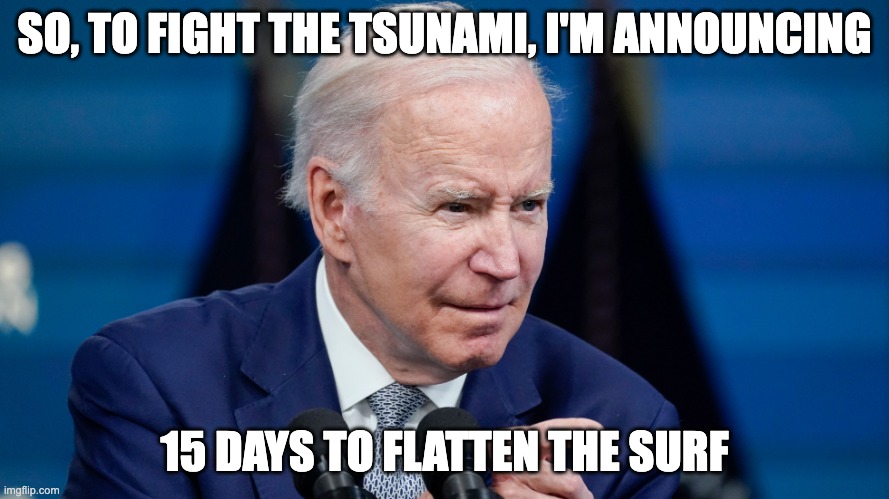 If The Zombie Was Still in Office | SO, TO FIGHT THE TSUNAMI, I'M ANNOUNCING; 15 DAYS TO FLATTEN THE SURF | image tagged in politics,biden,pandemic | made w/ Imgflip meme maker