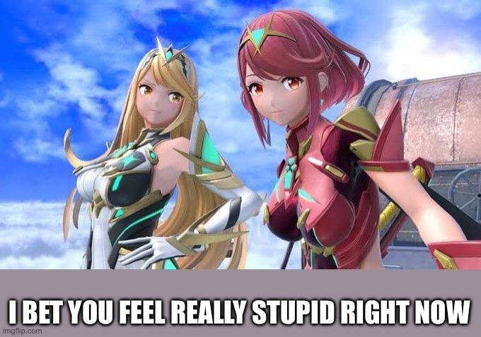 pyra and mythra smash bros | I BET YOU FEEL REALLY STUPID RIGHT NOW | image tagged in pyra and mythra smash bros | made w/ Imgflip meme maker