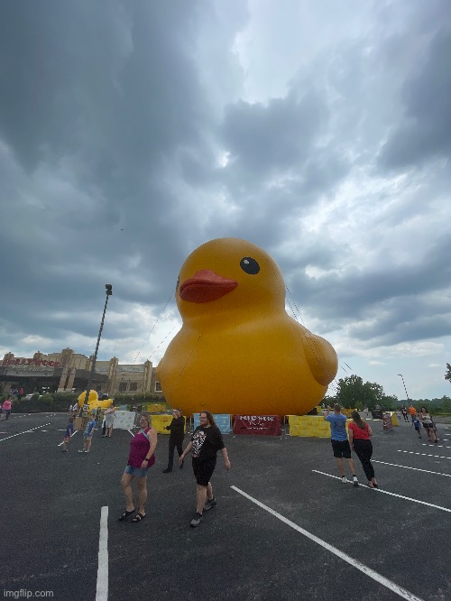 big ass ducking fuck: | made w/ Imgflip meme maker