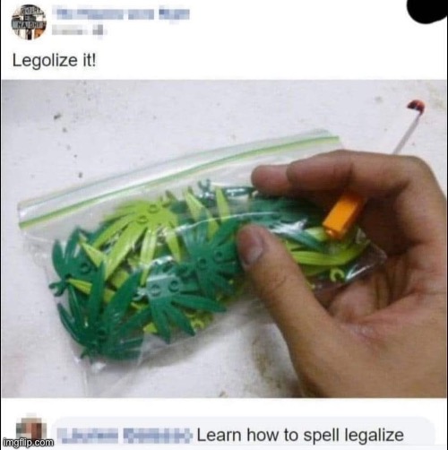 Incorrectly Corrected | image tagged in lego,legal | made w/ Imgflip meme maker