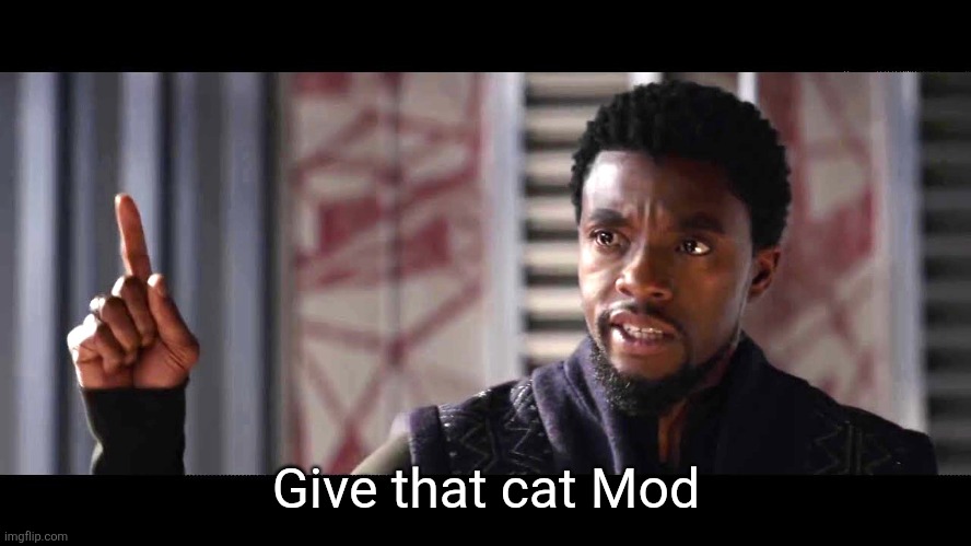 give this man a shield | Give that cat Mod | image tagged in give this man a shield | made w/ Imgflip meme maker
