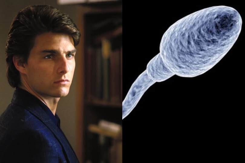 tom_cruise Blank Meme Template