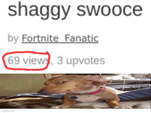 It makes even more sense when you look at that meme | image tagged in meme,69,sus dog | made w/ Imgflip meme maker