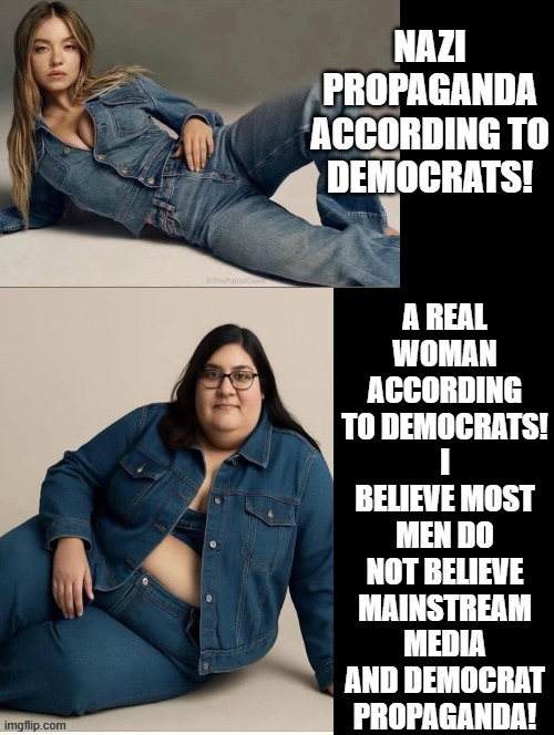 Are you a Nazi, or are you being lied to by Democrats and mainstream media. | image tagged in lies,sounds like communist propaganda,stupid liberals | made w/ Imgflip meme maker