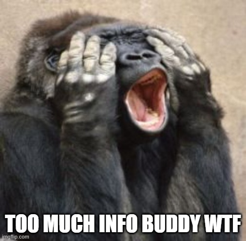 TMI  | TOO MUCH INFO BUDDY WTF | image tagged in tmi | made w/ Imgflip meme maker