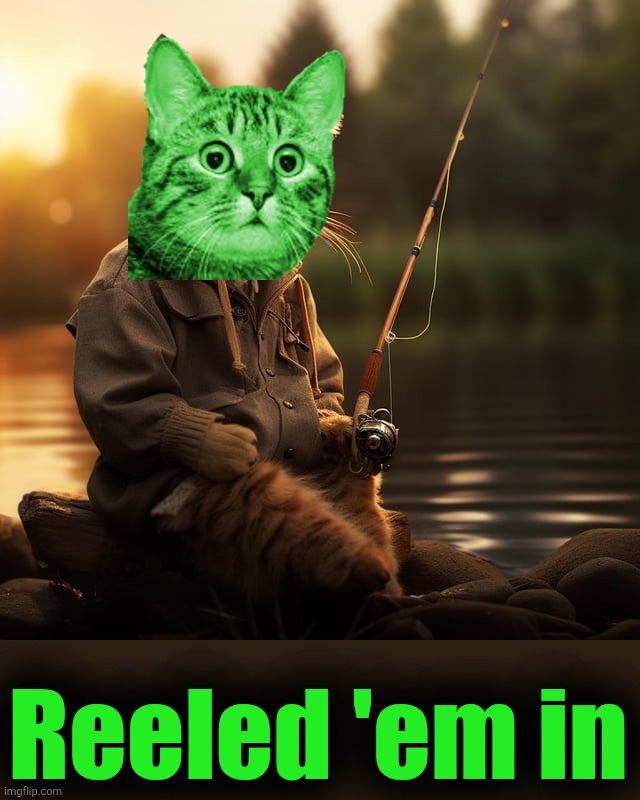 Cool story, RayCat | Reeled 'em in | image tagged in cool story clinkster | made w/ Imgflip meme maker
