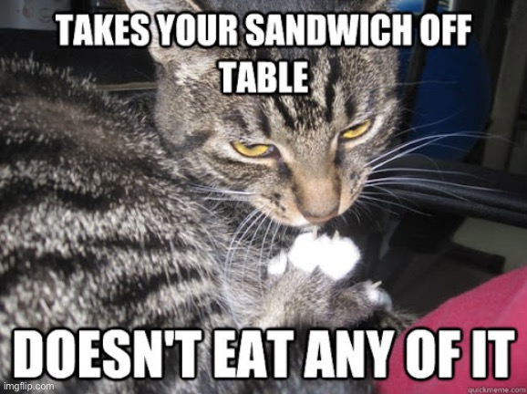 Spiteful Turd | image tagged in cats,funny cats,sandwich,stealing,just for fun,asshole | made w/ Imgflip meme maker