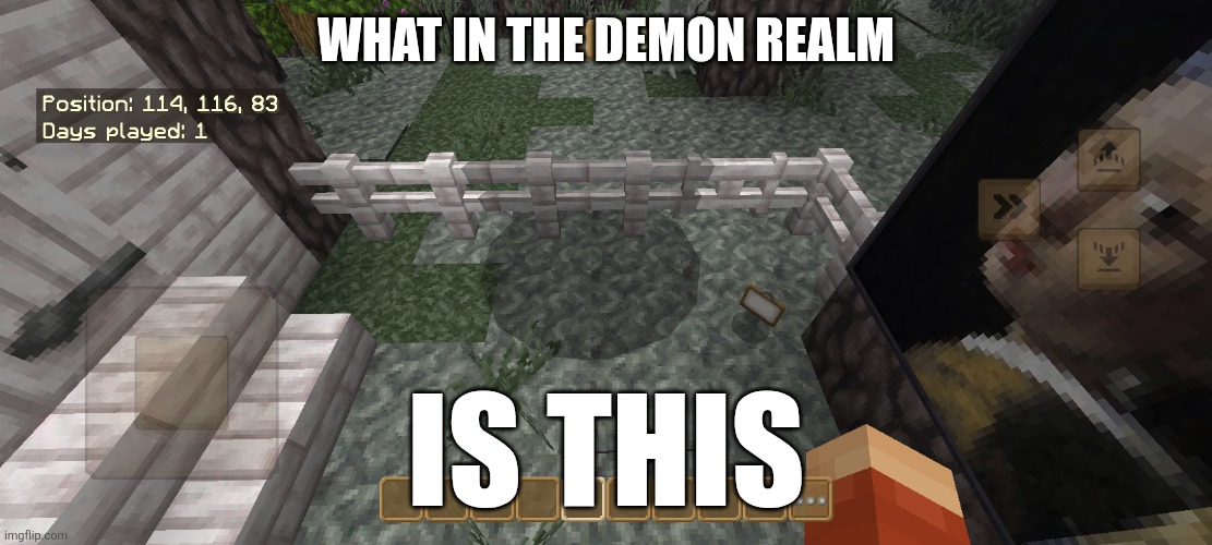 Uhhh(This is a screenshot) | WHAT IN THE DEMON REALM; IS THIS | image tagged in minecraft memes,cursed image | made w/ Imgflip meme maker