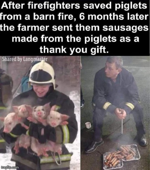 . | image tagged in shitpost | made w/ Imgflip meme maker