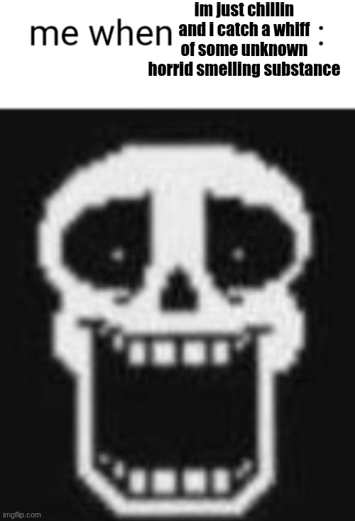 Me when: | im just chillin and i catch a whiff of some unknown horrid smelling substance | image tagged in me when | made w/ Imgflip meme maker