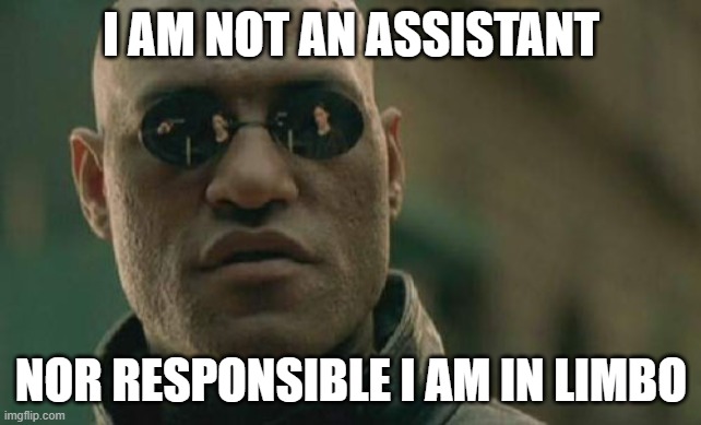 in limbo | I AM NOT AN ASSISTANT; NOR RESPONSIBLE I AM IN LIMBO | image tagged in memes,matrix morpheus | made w/ Imgflip meme maker