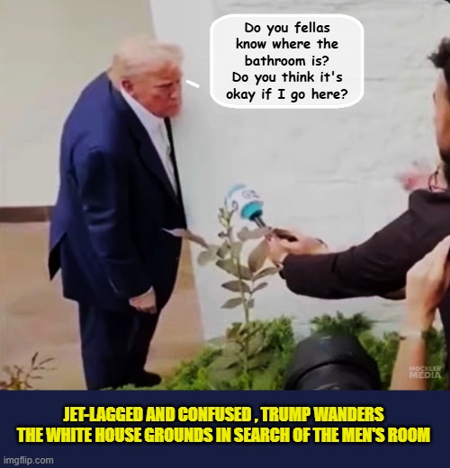 A morning of lying and deflecting takes a toll on low energy Don... | Do you fellas know where the bathroom is? Do you think it's okay if I go here? JET-LAGGED AND CONFUSED , TRUMP WANDERS THE WHITE HOUSE GROUNDS IN SEARCH OF THE MEN'S ROOM | image tagged in impeach trump,donald trump memes,government corruption,clown car republicans,trump is a moron | made w/ Imgflip meme maker