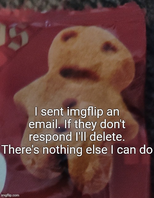 Cookie | I sent imgflip an email. If they don't respond I'll delete. There's nothing else I can do | image tagged in cookie | made w/ Imgflip meme maker