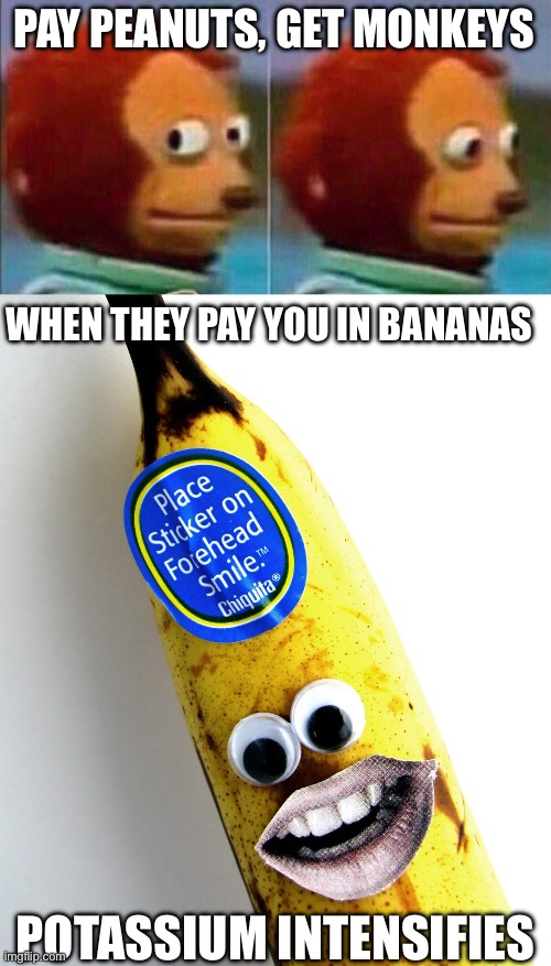 Payment in bananas | PAY PEANUTS, GET MONKEYS; WHEN THEY PAY YOU IN BANANAS; POTASSIUM INTENSIFIES | image tagged in monkey looking away,banana,peanuts,monkeys,payday | made w/ Imgflip meme maker