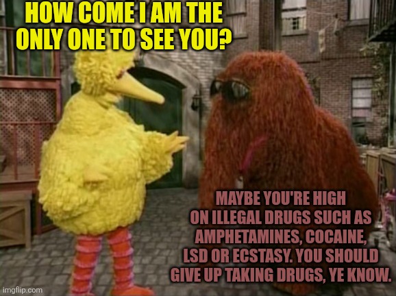 Big Bird And Snuffy | HOW COME I AM THE ONLY ONE TO SEE YOU? MAYBE YOU'RE HIGH ON ILLEGAL DRUGS SUCH AS AMPHETAMINES, COCAINE, LSD OR ECSTASY. YOU SHOULD GIVE UP TAKING DRUGS, YE KNOW. | image tagged in memes,big bird and snuffy,drugs,drugs are bad,hallucinate,hallucinations | made w/ Imgflip meme maker