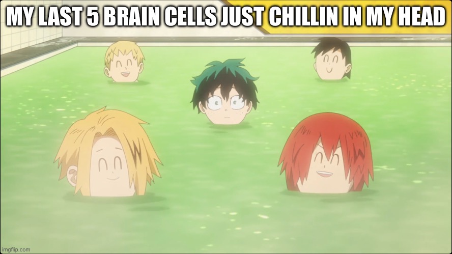 Deku Bois with no braincells | MY LAST 5 BRAIN CELLS JUST CHILLIN IN MY HEAD | image tagged in deku bois with no braincells | made w/ Imgflip meme maker