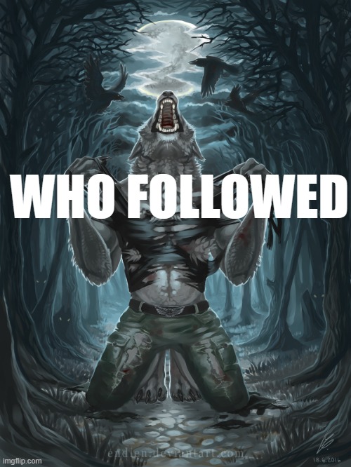 Wolf Howling | WHO FOLLOWED | image tagged in wolf howling | made w/ Imgflip meme maker