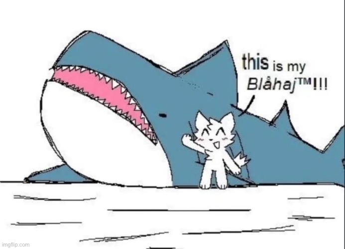 Funny shork (I don’t actually have one) | made w/ Imgflip meme maker