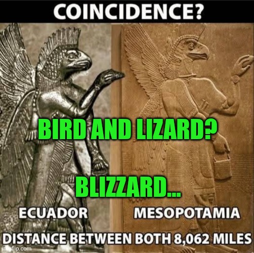 Funny | BIRD AND LIZARD? BLIZZARD... | image tagged in funny,ancient aliens,purse,bird,lizard,coincidence | made w/ Imgflip meme maker