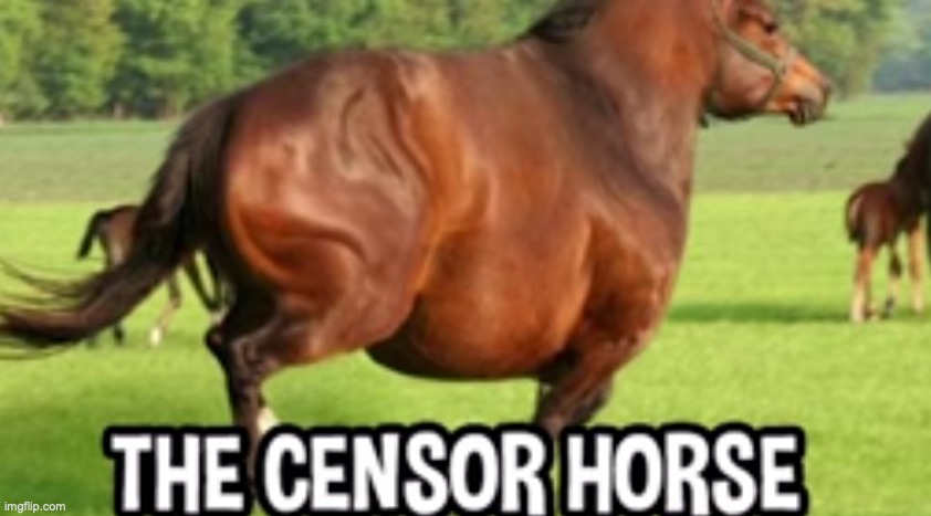 THE CENSOR HORSE | image tagged in the censor horse | made w/ Imgflip meme maker