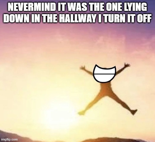 yippee | NEVERMIND IT WAS THE ONE LYING DOWN IN THE HALLWAY I TURN IT OFF | image tagged in yippee | made w/ Imgflip meme maker