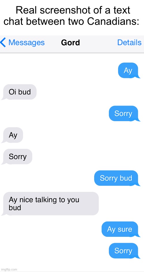 Canadians | Real screenshot of a text chat between two Canadians: | image tagged in cool,funny memes,countryballs | made w/ Imgflip meme maker