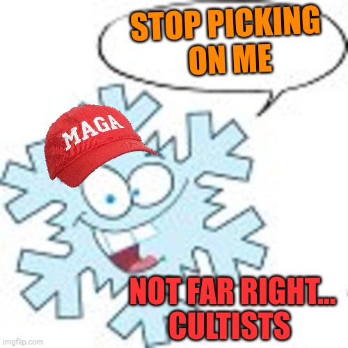 Snowflake | STOP PICKING
 ON ME NOT FAR RIGHT...
CULTISTS | image tagged in snowflake | made w/ Imgflip meme maker