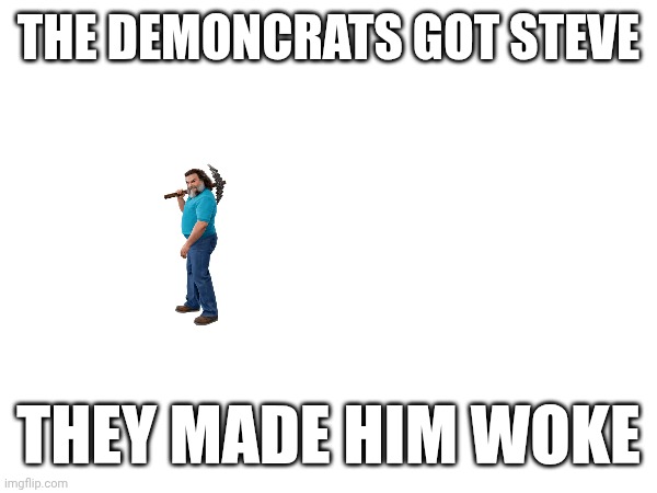 THE DEMONCRATS GOT STEVE; THEY MADE HIM WOKE | made w/ Imgflip meme maker
