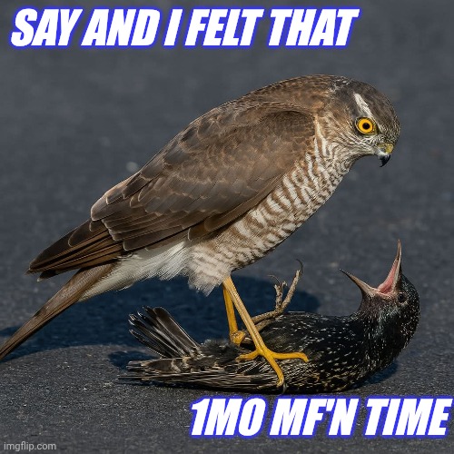SAY AND I FELT THAT; 1MO MF'N TIME | image tagged in lol | made w/ Imgflip meme maker