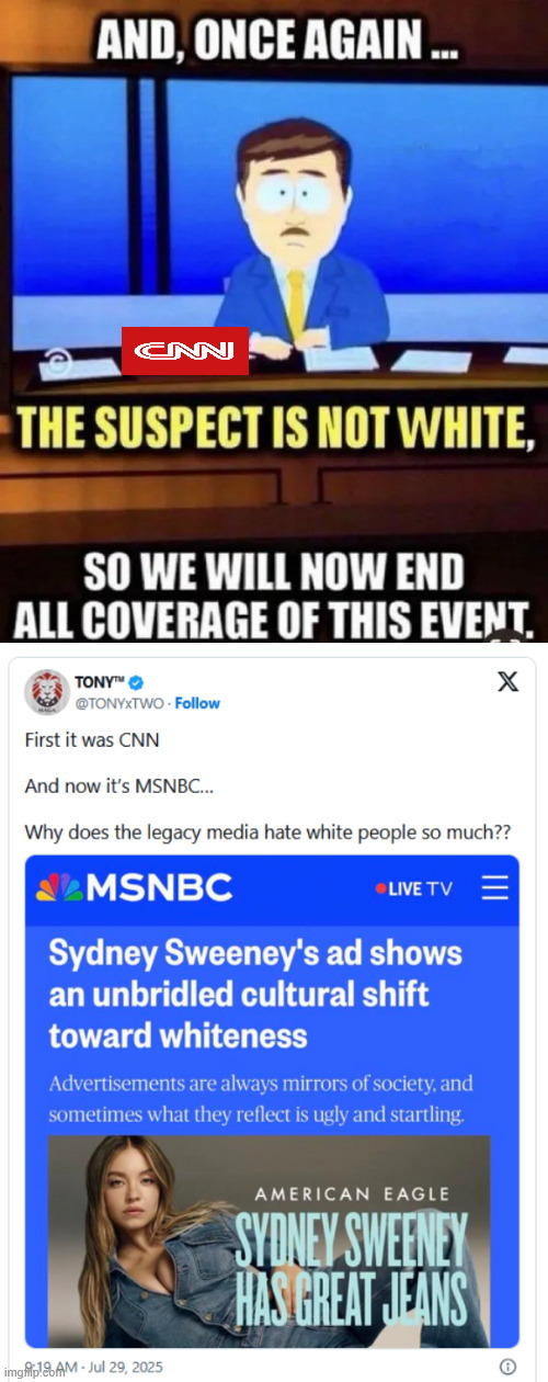 MSM showing off their racism... They sure wish they could cut advertising like they do the news | image tagged in racist,msm | made w/ Imgflip meme maker