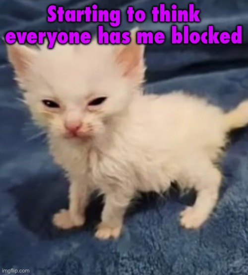 Car :3 | Starting to think everyone has me blocked | image tagged in car 3 | made w/ Imgflip meme maker