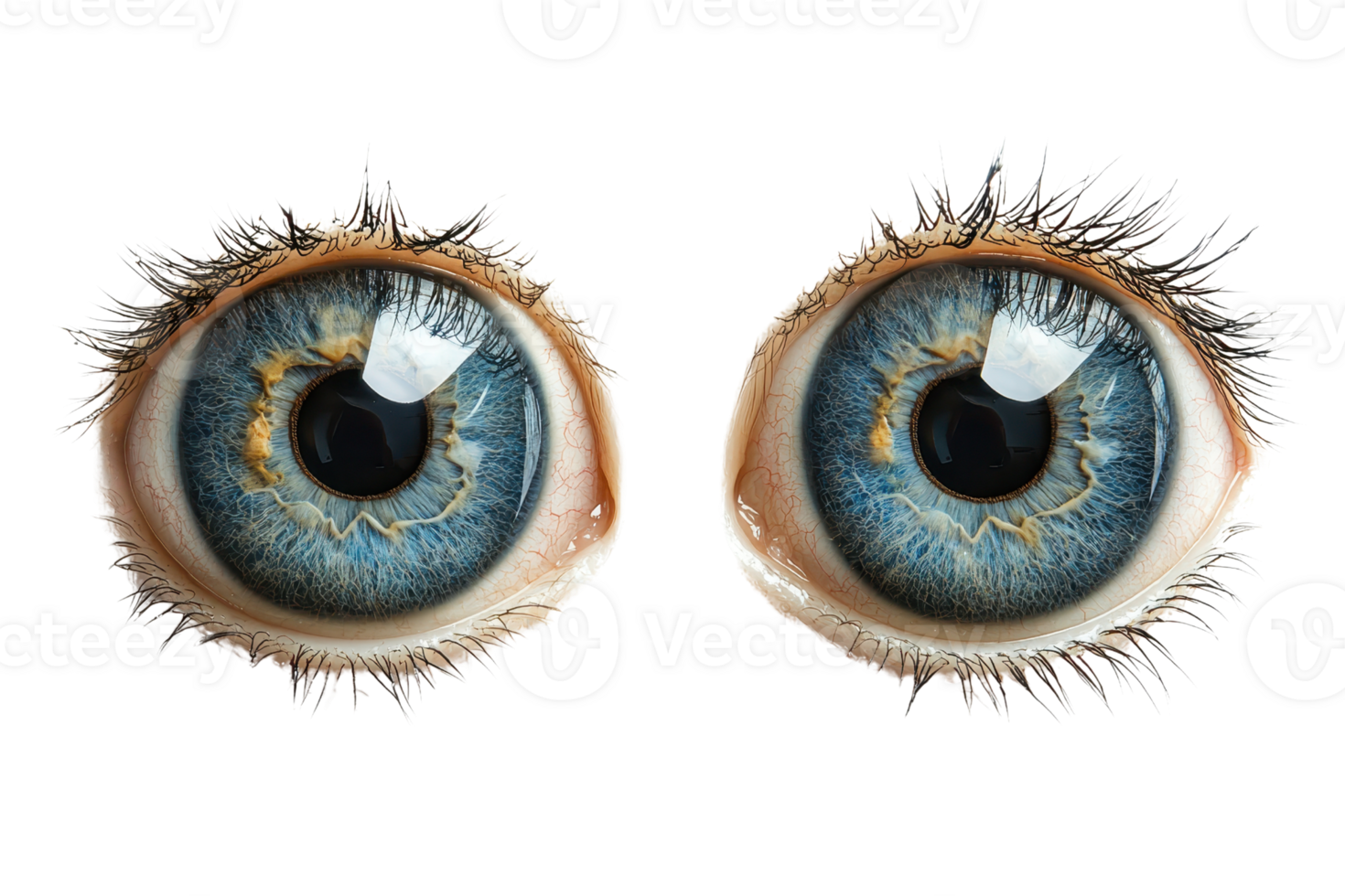 Wide Eyes Blank Meme Template