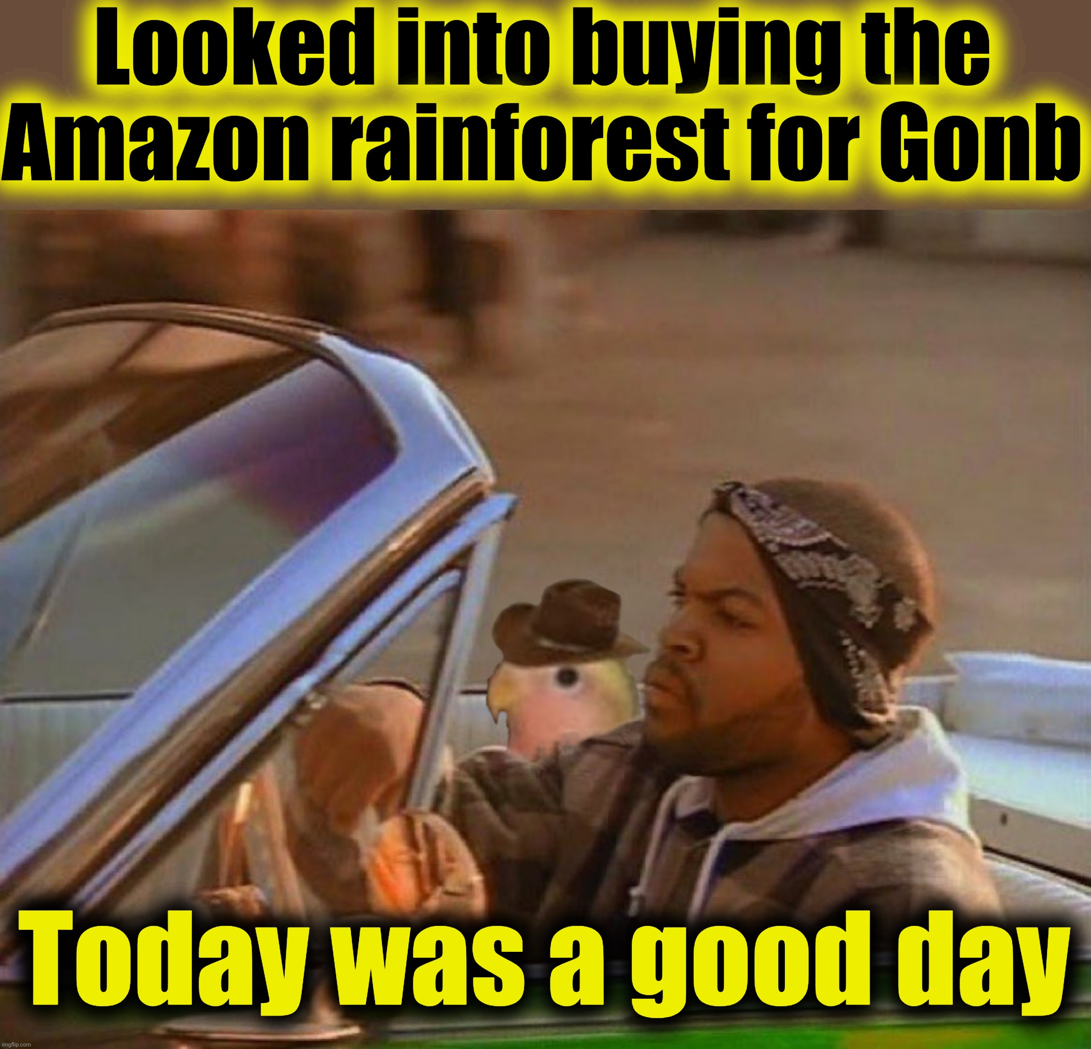 Looking into it. | Looked into buying the Amazon rainforest for Gonb; Today was a good day | image tagged in today was a good day,gonb | made w/ Imgflip meme maker