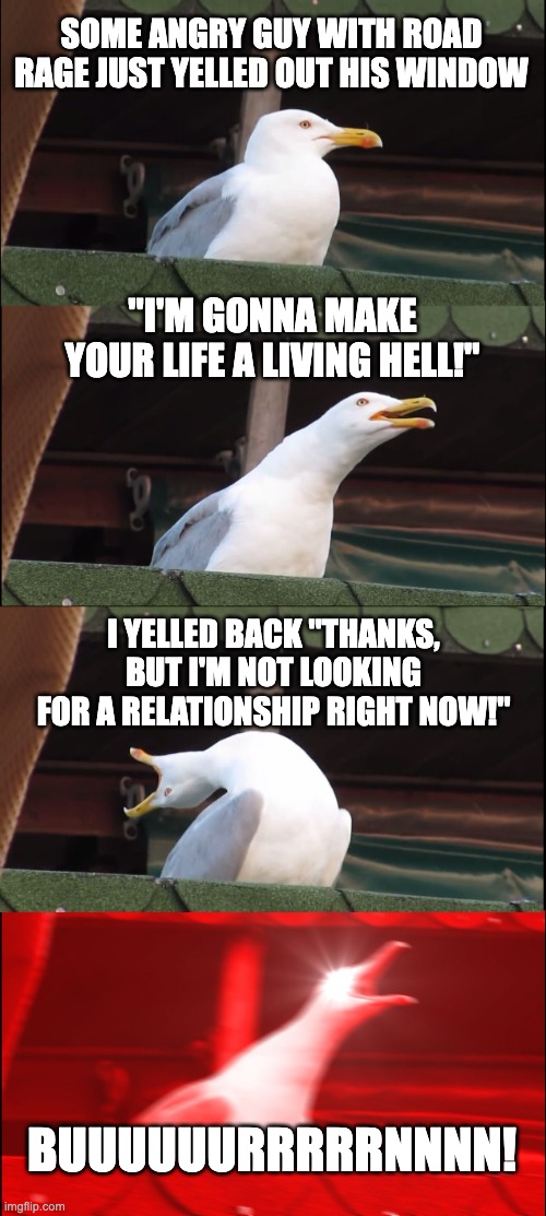 Inhaling Seagull | SOME ANGRY GUY WITH ROAD RAGE JUST YELLED OUT HIS WINDOW; "I'M GONNA MAKE YOUR LIFE A LIVING HELL!"; I YELLED BACK "THANKS, BUT I'M NOT LOOKING FOR A RELATIONSHIP RIGHT NOW!"; BUUUUUURRRRRNNNN! | image tagged in memes,inhaling seagull | made w/ Imgflip meme maker
