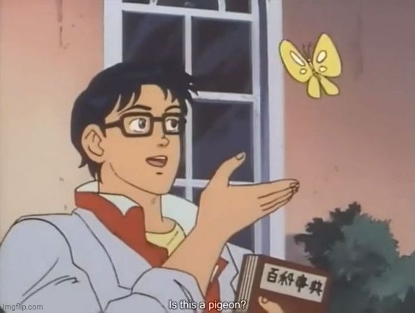 Oblivious anime man butterfly | image tagged in oblivious anime man butterfly | made w/ Imgflip meme maker