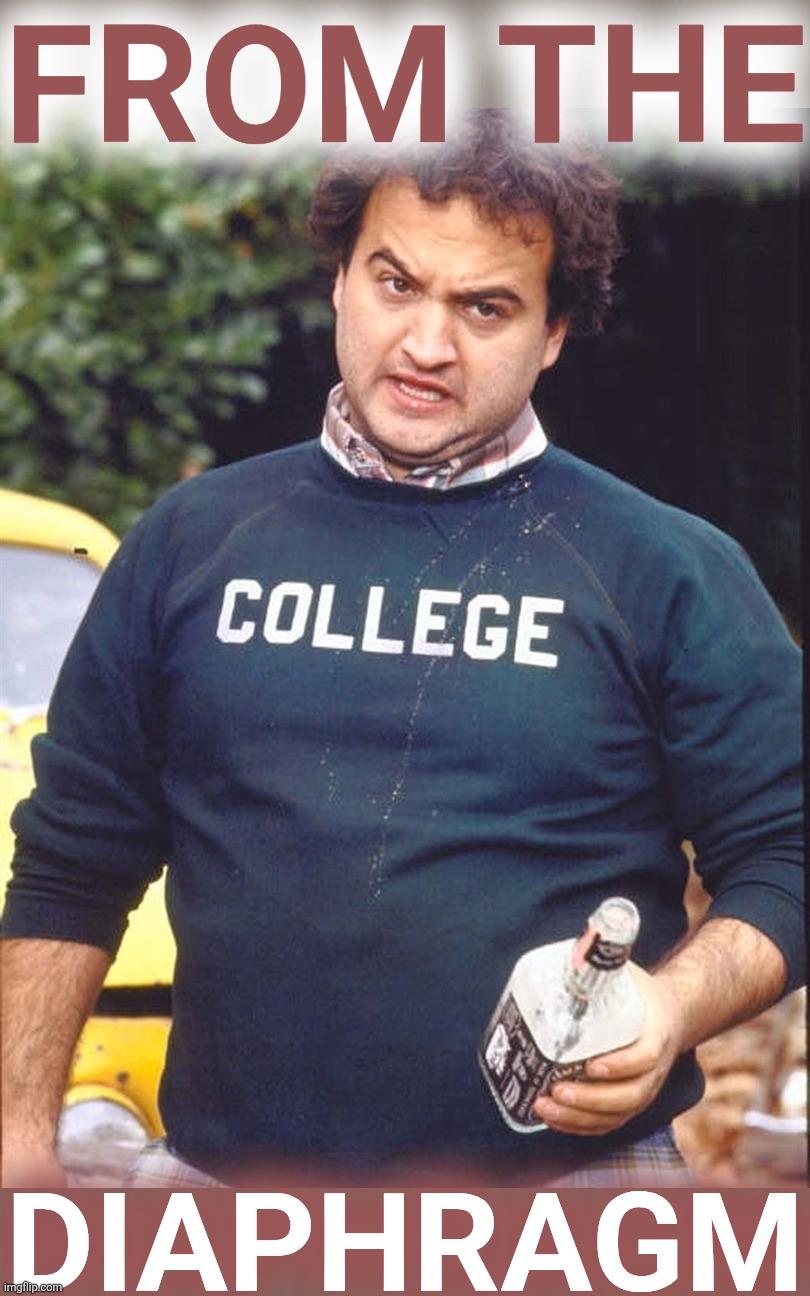 online college grads | FROM THE DIAPHRAGM | image tagged in online college grads | made w/ Imgflip meme maker
