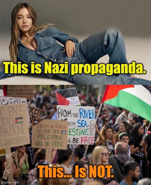 Their TDS is soooo bad... They. Can't. Freakin'. See. It!!! | This is Nazi propaganda. This... Is NOT. | image tagged in democrats pro-palestinian anti-israel jpp | made w/ Imgflip meme maker