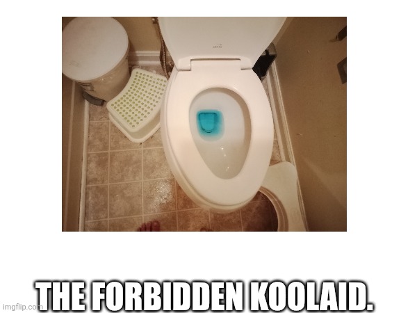 Looks like fortnite slurp juice | THE FORBIDDEN KOOLAID. | image tagged in fun | made w/ Imgflip meme maker