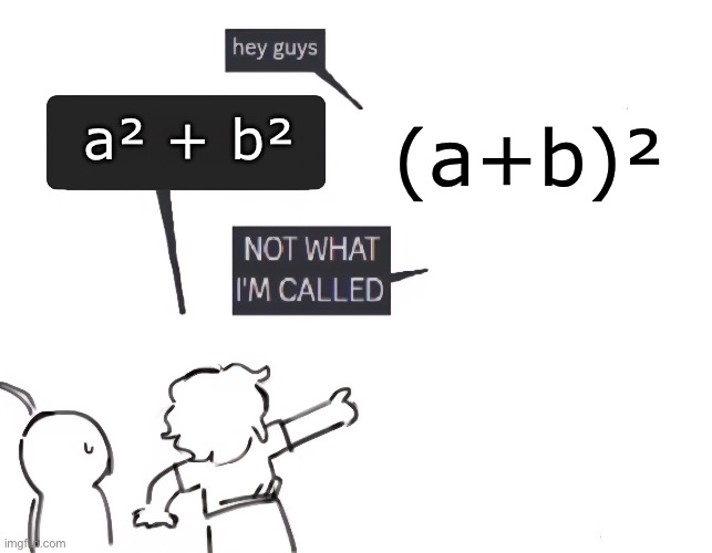 Yeah I always forget the middle term. | (a+b)²; a² + b² | image tagged in math | made w/ Imgflip meme maker