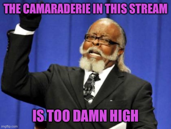 Too Damn High | THE CAMARADERIE IN THIS STREAM; IS TOO DAMN HIGH | image tagged in memes,too damn high | made w/ Imgflip meme maker