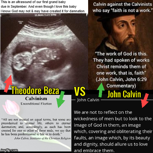 John Calvin Vs His Successor Theodore Beza | image tagged in calvinism,arminian,molinism,reformed theology 5 point calvinists,different writer different voice,beza changed his writings | made w/ Imgflip meme maker