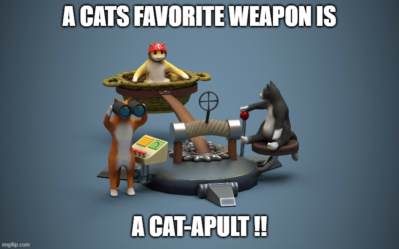 A cats favorite weapon is a cat-apult.  - funny - | A CATS FAVORITE WEAPON IS; A CAT-APULT !! | image tagged in cats,funny,kittens,humor,weapons,play on words | made w/ Imgflip meme maker