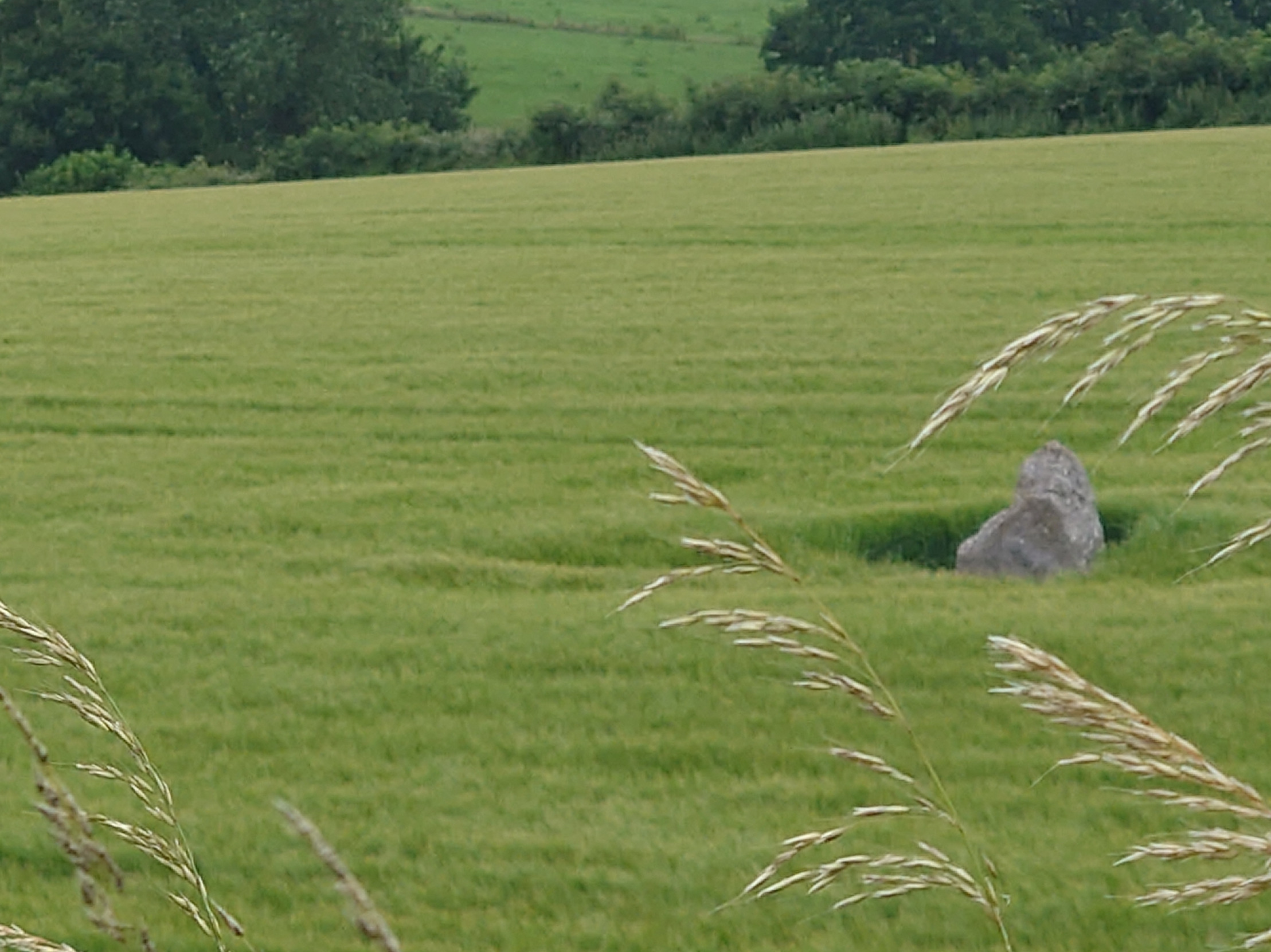 Just a rock in a field Blank Meme Template