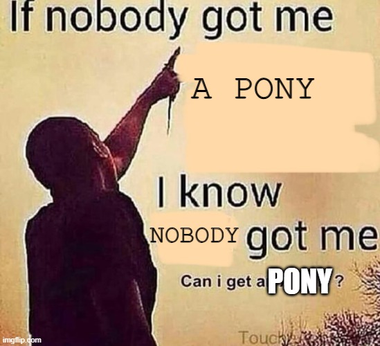 My homie, I want a pony | A PONY; NOBODY; PONY | image tagged in if nobody got me blank,pony | made w/ Imgflip meme maker