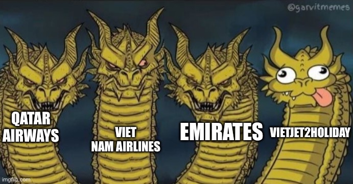 4 headed dragon | QATAR AIRWAYS; VIET NAM AIRLINES; EMIRATES; VIETJET2HOLIDAY | image tagged in 4 headed dragon | made w/ Imgflip meme maker